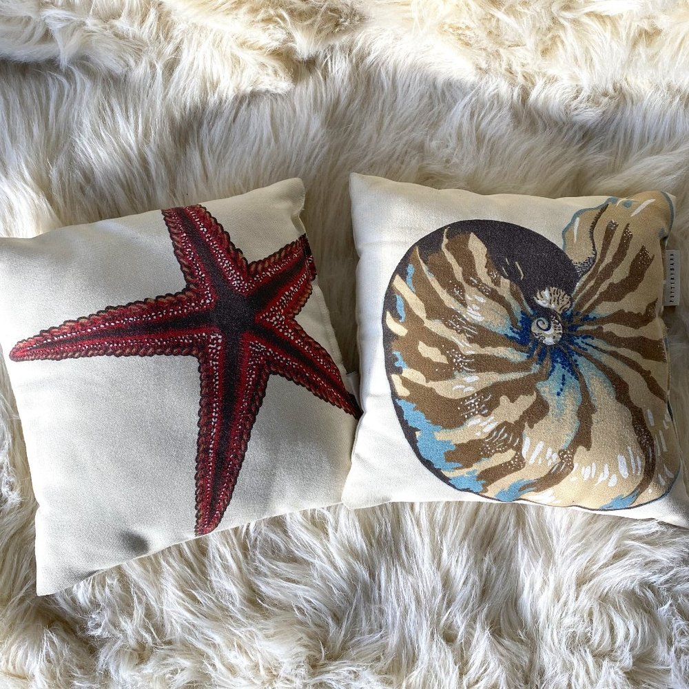 Pottery Barn Accent Pillows–Set of 2